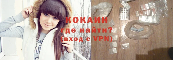 гашик Осинники