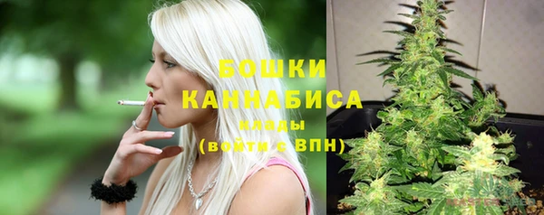 spice Пестово