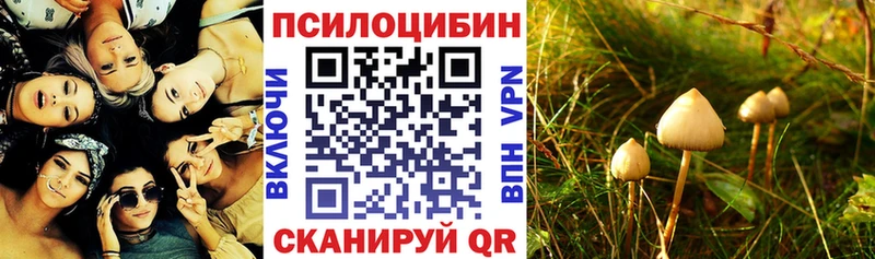 Псилоцибиновые грибы Psilocybine cubensis наркота Ладушкин